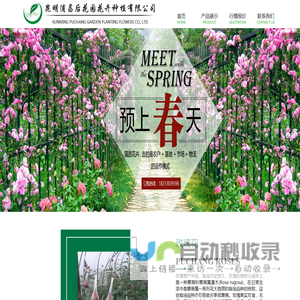 昆明玫瑰花苗_昆明鲜花_昆明花苗批发-昆明浦昌后花园花卉种植有限公司